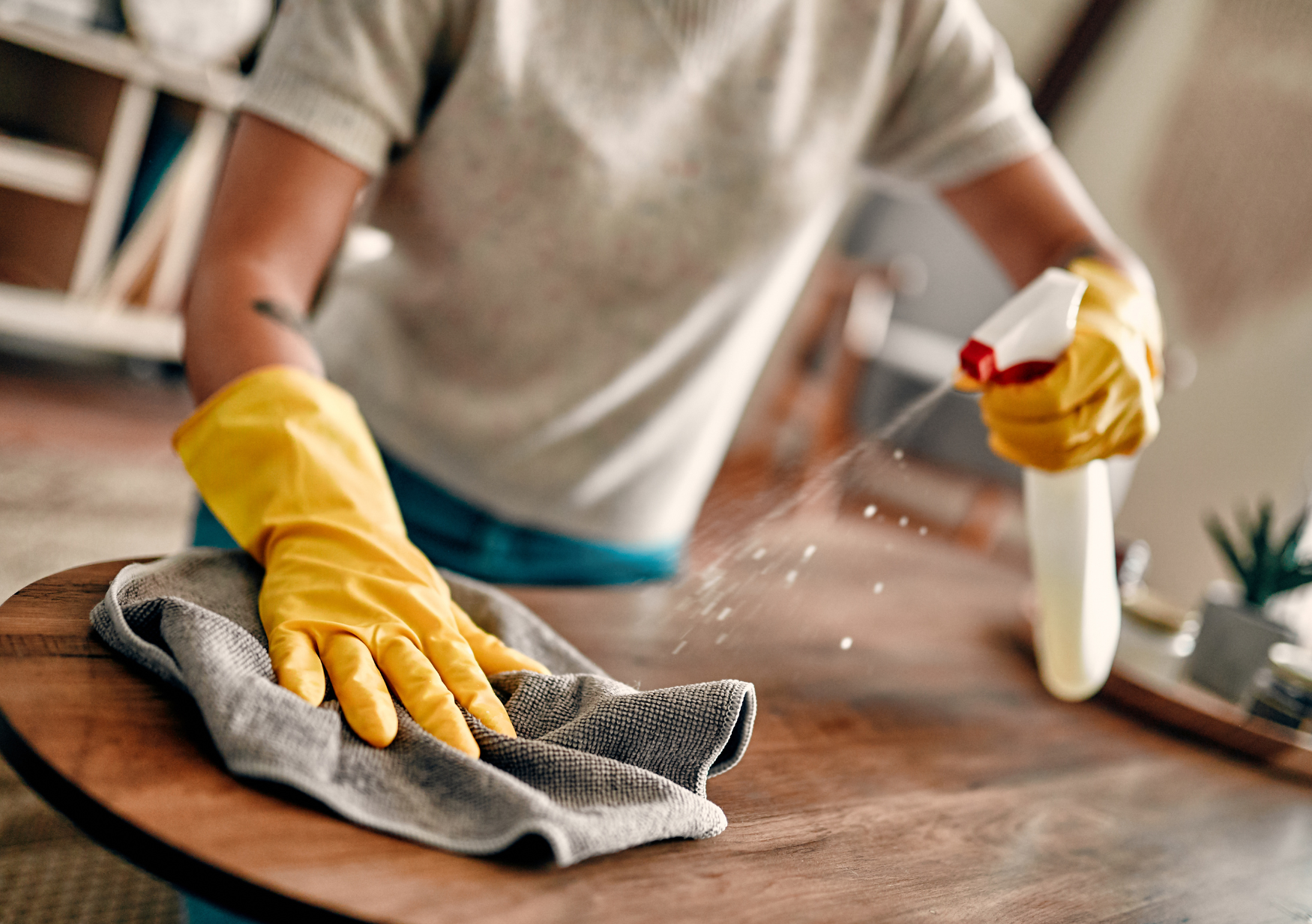 Professional house cleaning in Greater Boston