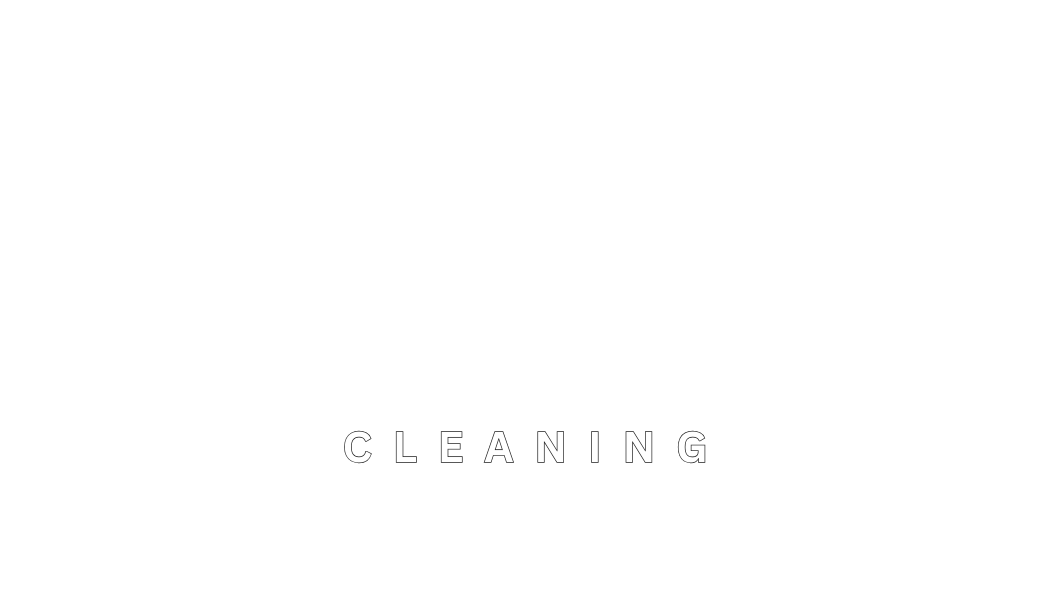Lupa Services Cleaning