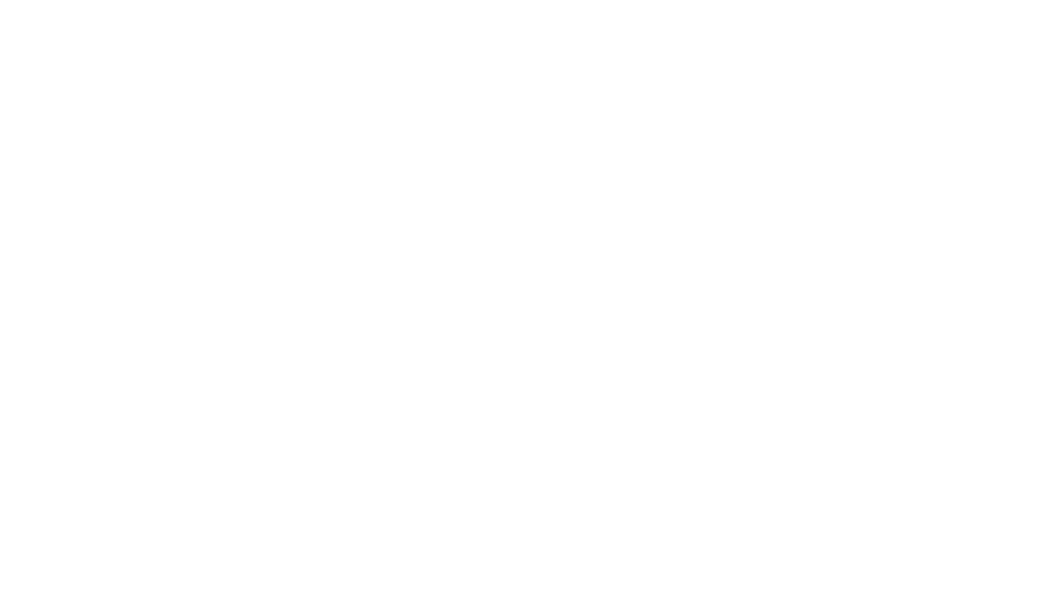 Lupa Painting Services